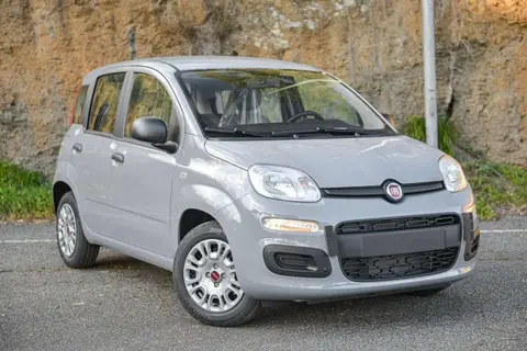 Used FIAT PANDA Hybrid 2022 Ad 