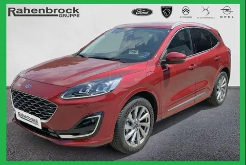 Used FORD KUGA Hybrid 2023 Ad 