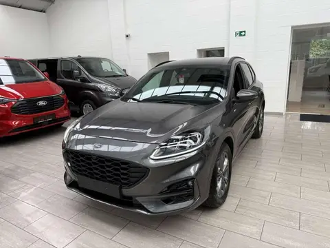 Used FORD KUGA Hybrid 2020 Ad 