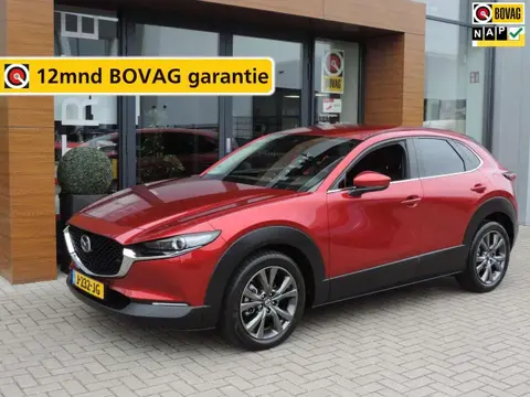 Annonce MAZDA CX-30 Hybride 2020 d'occasion 