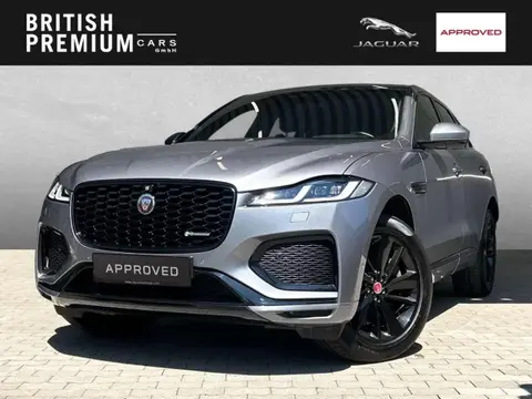 Used JAGUAR F-PACE Hybrid 2021 Ad 