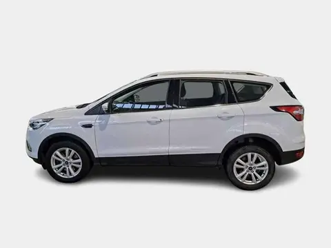 Used FORD KUGA Diesel 2019 Ad 