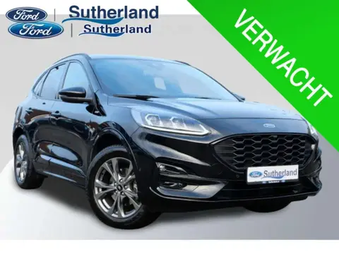 Used FORD KUGA Hybrid 2024 Ad 