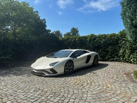 Used LAMBORGHINI AVENTADOR Petrol 2017 Ad 