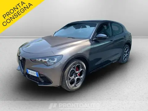 Used ALFA ROMEO STELVIO Petrol 2023 Ad 