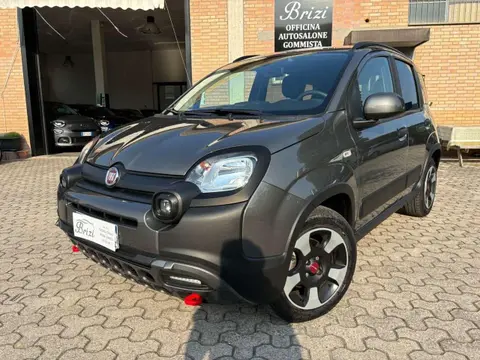 Used FIAT PANDA Hybrid 2023 Ad 