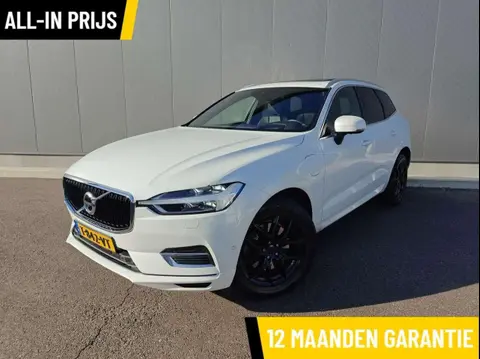 Used VOLVO XC60 Hybrid 2018 Ad 