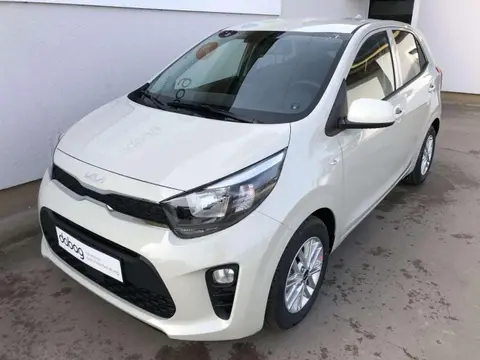 Annonce KIA PICANTO Essence 2024 d'occasion 