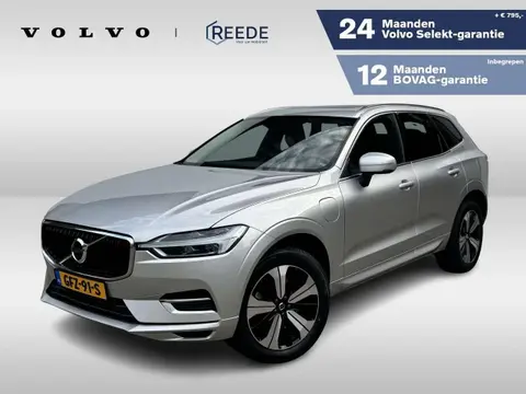 Used VOLVO XC60 Hybrid 2019 Ad 