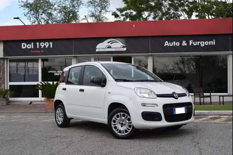 Used FIAT PANDA Petrol 2019 Ad 