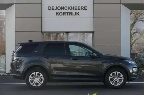 Used LAND ROVER DISCOVERY Hybrid 2021 Ad Belgium