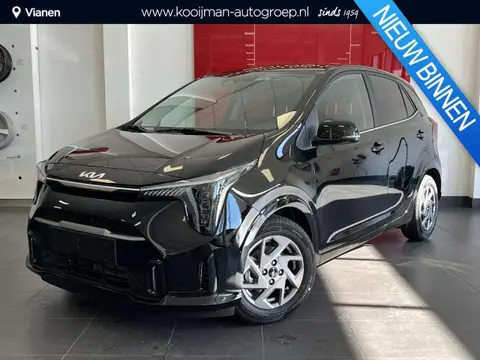 Used KIA PICANTO Petrol 2024 Ad 