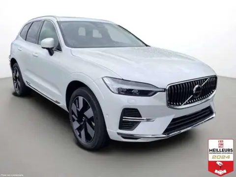 Annonce VOLVO XC60 Hybride 2024 d'occasion 