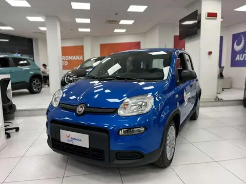 Used FIAT PANDA Hybrid 2024 Ad 