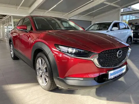 Annonce MAZDA CX-30 Essence 2020 d'occasion 