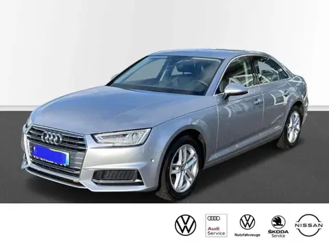 Used AUDI A4 Diesel 2019 Ad 