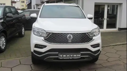 Used SSANGYONG REXTON Diesel 2019 Ad 