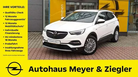 Annonce OPEL GRANDLAND Diesel 2019 d'occasion 