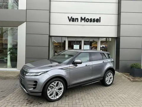 Used LAND ROVER RANGE ROVER EVOQUE Diesel 2020 Ad 