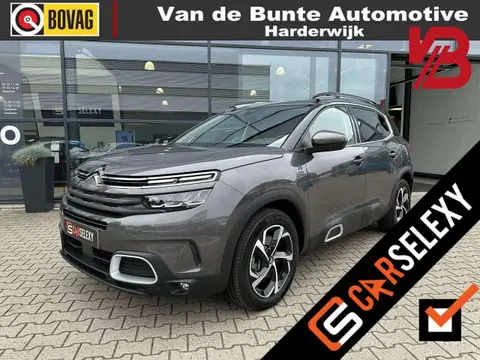 Used CITROEN C5 AIRCROSS Hybrid 2022 Ad 