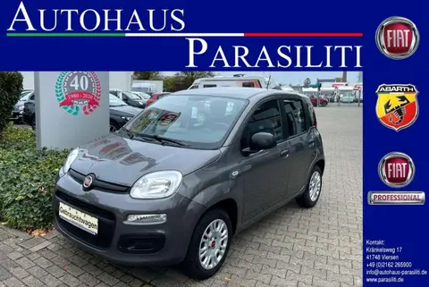 Annonce FIAT PANDA Essence 2020 d'occasion 