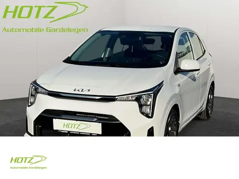 Used KIA PICANTO Petrol 2024 Ad 