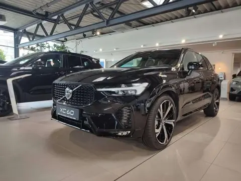 Annonce VOLVO XC60 Diesel 2024 d'occasion 