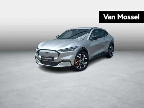 Annonce FORD MUSTANG Électrique 2021 d'occasion Belgique