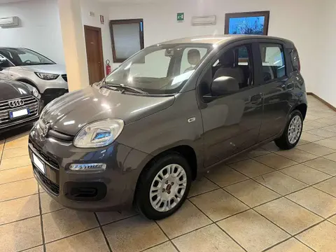 Used FIAT PANDA Hybrid 2022 Ad 