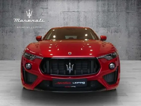 Used MASERATI LEVANTE Petrol 2019 Ad 