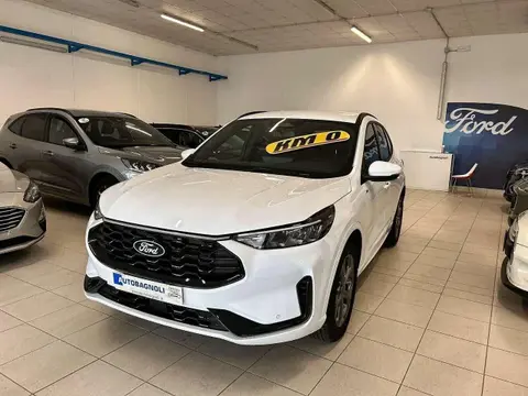 Annonce FORD KUGA Hybride 2024 d'occasion 