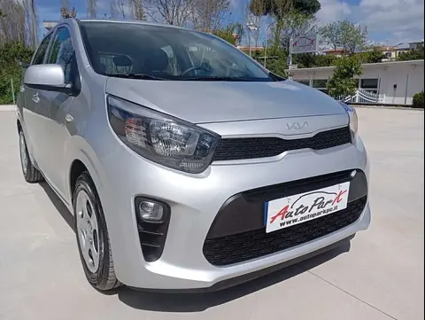 Used KIA PICANTO Petrol 2023 Ad 