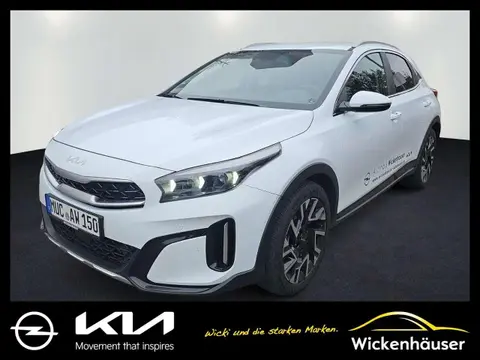 Annonce KIA XCEED Essence 2024 d'occasion 