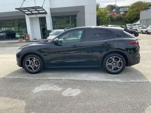 Annonce ALFA ROMEO STELVIO Diesel 2019 d'occasion 