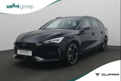 Used CUPRA LEON Hybrid 2024 Ad 