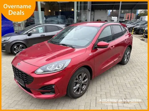 Annonce FORD KUGA Diesel 2022 d'occasion 