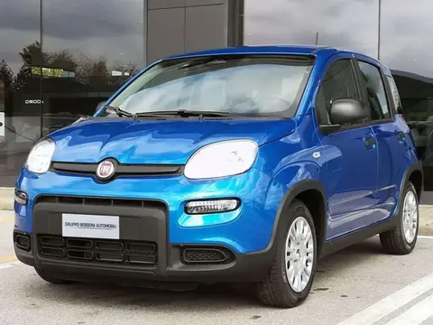 Annonce FIAT PANDA Hybride 2024 d'occasion 