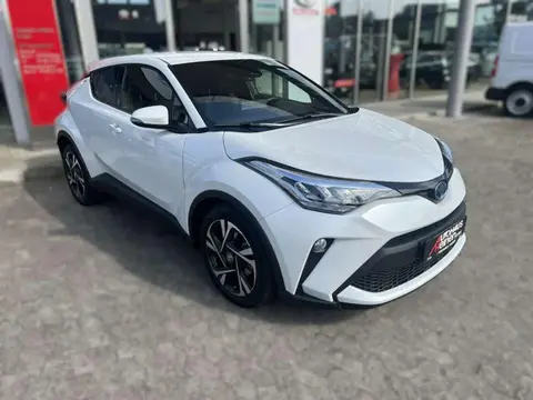 Used TOYOTA C-HR Hybrid 2023 Ad 