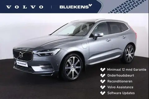 Annonce VOLVO XC60 Hybride 2019 d'occasion 