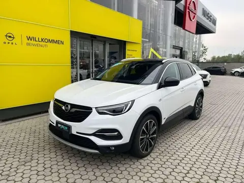 Used OPEL GRANDLAND Hybrid 2020 Ad 