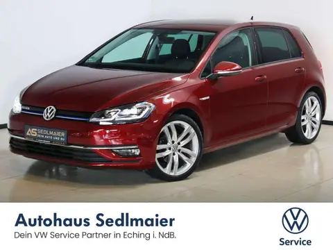 Used VOLKSWAGEN GOLF Petrol 2019 Ad 