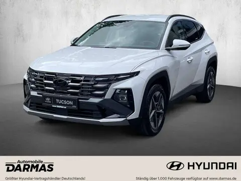 Annonce HYUNDAI TUCSON Essence 2024 d'occasion 