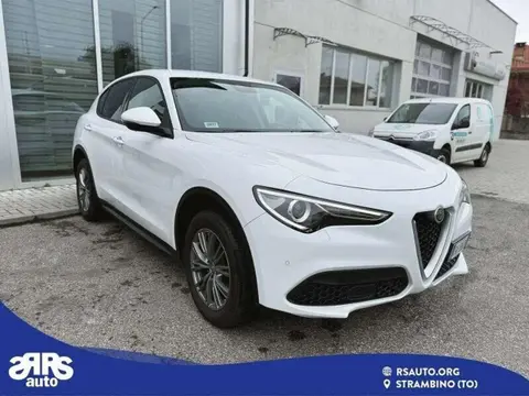 Used ALFA ROMEO STELVIO Diesel 2019 Ad 