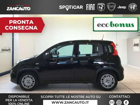 Annonce FIAT PANDA Hybride 2024 d'occasion 