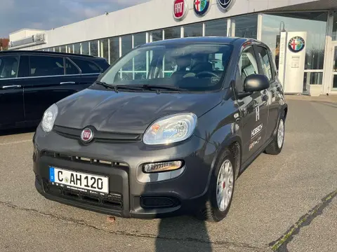 Annonce FIAT PANDA Hybride 2023 d'occasion 