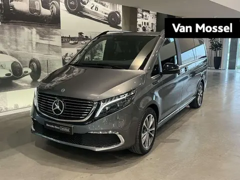 Annonce MERCEDES-BENZ EQV Électrique 2022 d'occasion 