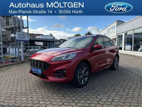 Used FORD KUGA Hybrid 2021 Ad 