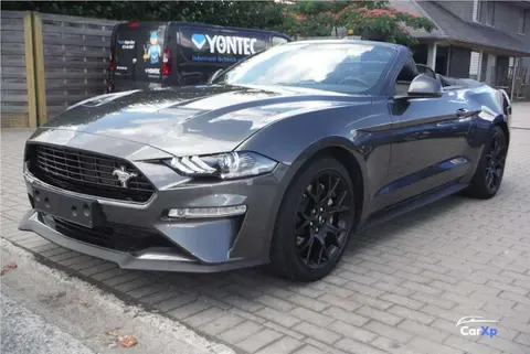 Used FORD MUSTANG Petrol 2020 Ad 