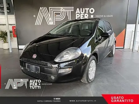 Used FIAT PUNTO Petrol 2018 Ad 