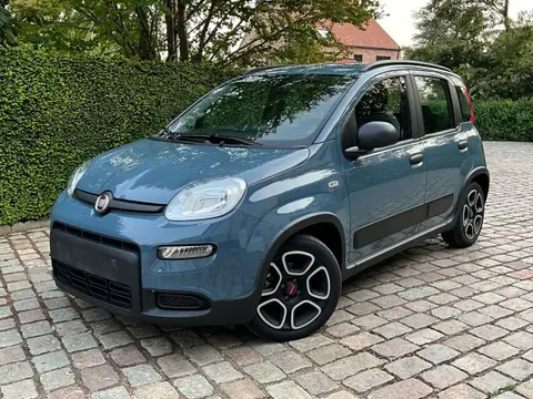 Annonce FIAT PANDA Essence 2022 d'occasion 